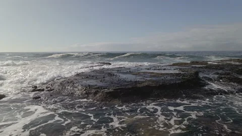 Narrabeen Reserve 5 Stock Footage 150431931