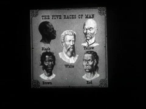 A narrator discusses the physical differences between the different races" of Video stock 74733274