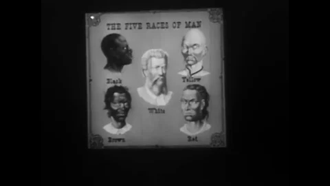 A narrator discusses the physical differences between the different races of the Video stock 83170034