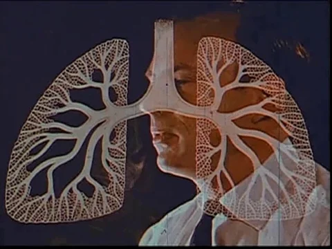 Narrator explains the natural processes of the lungs using lung diagram - 1963 Stock Footage 94988366