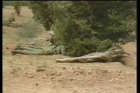 Narrator shares the working process of MILES during fire - 1981 Stock Footage 106758360