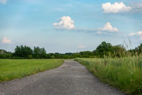 Narrow asphalt path leading between green meadow and grain field Foto stock