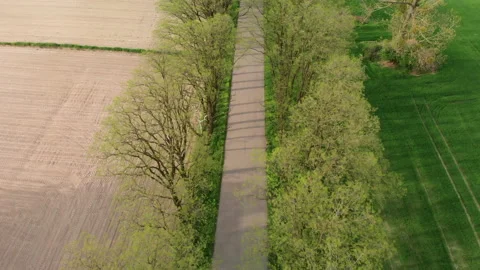 Narrow asphalt road from the drone Stock Footage 89676749