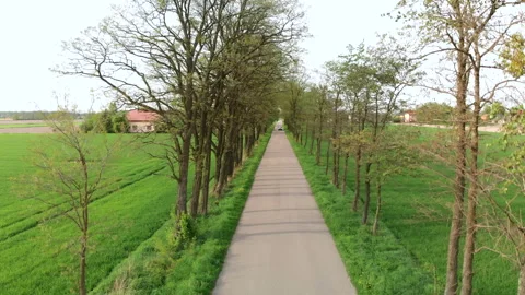 Narrow asphalt road from the drone Stock Footage 89677016