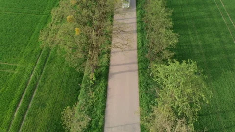 Narrow asphalt road from the drone Stock Footage 89677301