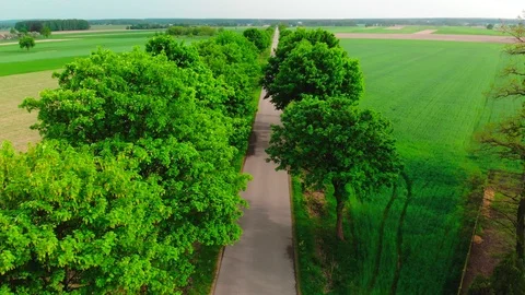 Narrow asphalt road from the drone Stock Footage 89699261