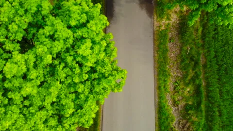 Narrow asphalt road from the drone Stock Footage 89705688