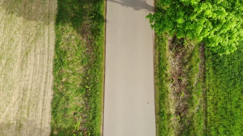 Narrow asphalt road from the drone Stock Footage 89706214