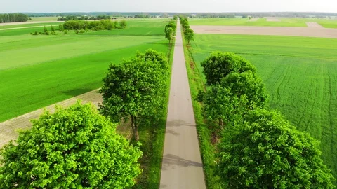 Narrow asphalt road from the drone Stock Footage 89706722