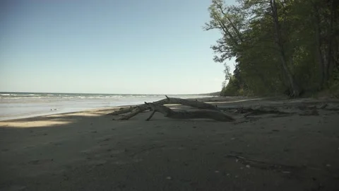 A narrow beach with old tree trunks in the sand in summer day Stock Footage 159981786