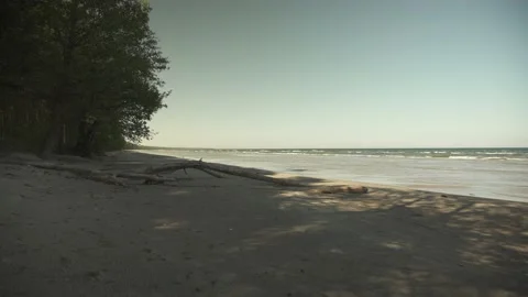 A narrow beach with old tree trunks in the sand in summer day Stock-Footage 159981851