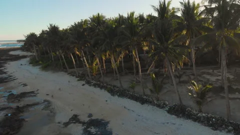 Narrow beach surrounded by reef and palm trees 库存影片 131327282