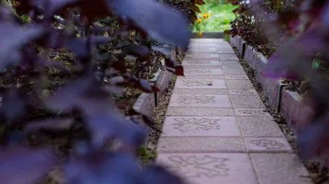 Narrow brick pathway winding through a garden. The pathway is lined with a br Stock Photos