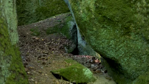 Narrow canyon between stone cliffs. Stock Footage 315771265