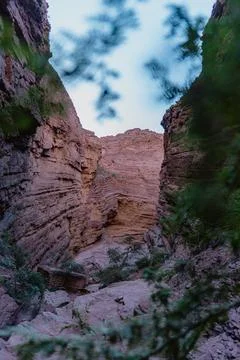 A narrow canyon with a tree in the foreground Stock Photos