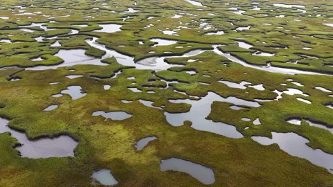 Narrow Channels Meander Through a Cape Cod Salt Marsh Stock Footage 317246984