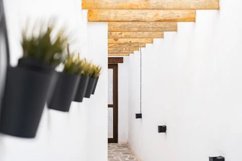 Narrow corridor adorned with potted plants and natural lighting Stock Photos