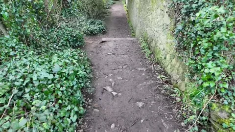 Narrow Countryside Pathway Surrounded by Green Hedges in Ireland Stock Footage 327624902