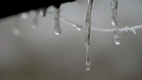 Narrow depth of field icicle melting Stock Footage 102410668