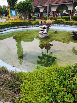 Narrow depth of field pool area. Stock Photos