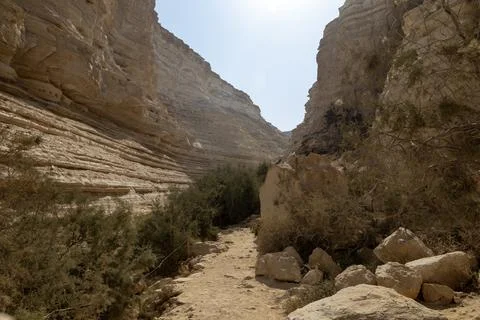 Narrow Desert Canyon Path in Ein Evdat Reserve Stock Photos
