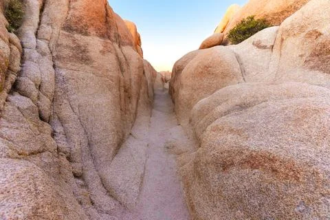 Narrow Desert Path Between Rounded Boulders in Joshua Tree Park Stock Photos