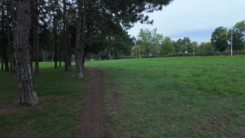 Narrow dirt path between trees and open green field Stock Footage 318063359