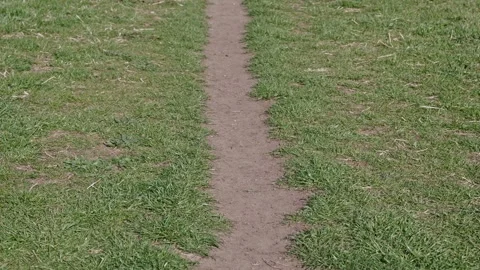 Narrow Dirt Path Cutting Through Green Grass Field Leading into Distance Stock Footage 337090339
