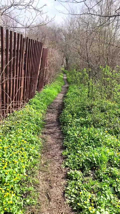 Narrow dirt path winds along old rusty metal fence in spring park. Stock Footage 337537735