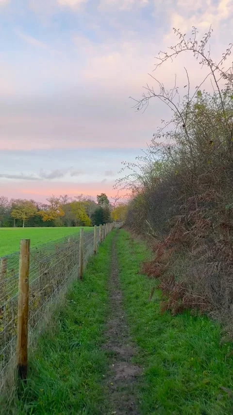 A narrow dirt path winds between a wire fence and a wild hedge under a soft pink Stock Footage 331671940