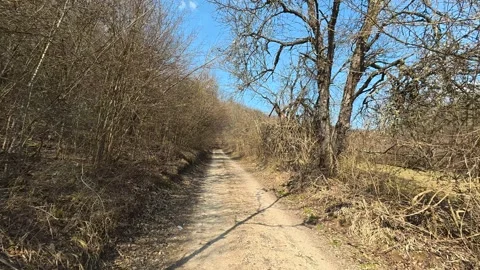 Narrow dirt path winds through bare trees. Mount Rtanj Area, Serbia Vidéo 331279633