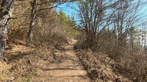 Narrow dirt path winds through bare woodland. Balkan, Eastern Europe, POV Video stock 331779784