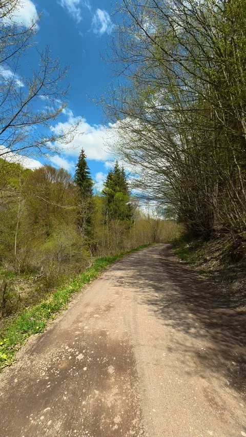 Narrow dirt path winds through green forest. Tupavica area, Vertical Stock Footage 335947520