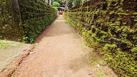 Narrow earthen path between high, moss-covered walls, 스톡 동영상 317779272