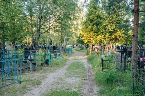 Narrow earthen path running between rows of old graves and tall trees in a .. Foto stock