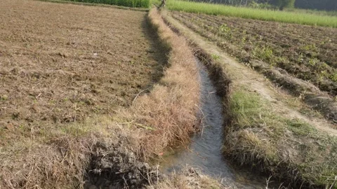 Narrow earthen path winding Vídeos de archivo 332536998