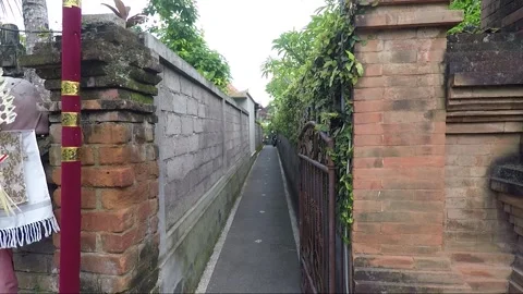 Narrow Empty Street or Road, Ubud, Bali, Indonesia Stock Footage 253619220