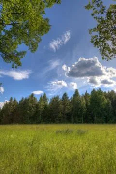Narrow field between forests Stock Photos