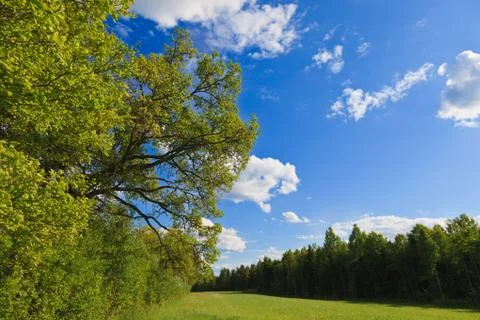 Narrow field Stock Photos