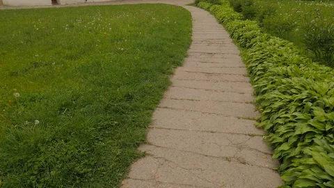 Narrow Footpath to Transfiguration Cathedral Chernihiv Green Lawns Park Stock Footage 71635243