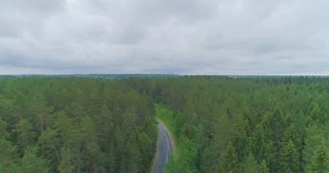Narrow forest road on a cloudy day. Long frame Stock Footage 155764794