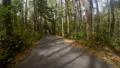 narrow forest road drop beside rocky river 4k or 4k+ Resolution