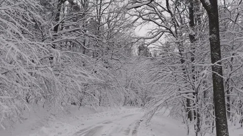 A narrow forest road winds through a winter landscape covered in fresh snow Stock-Footage 331070510