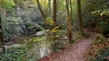 Narrow forest trail beside stream autumn 4k or 4k+ Resolution