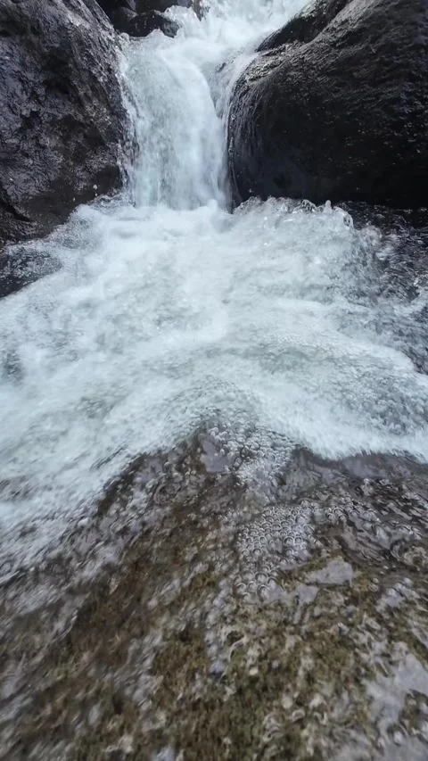 Narrow Forest Waterfall Pouring Into Rocky Stream in 4K Footage Stock Footage 336748751
