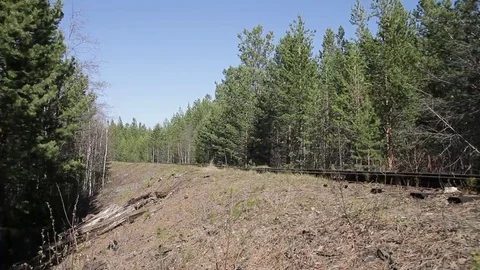 Narrow-gauge railway Stock Footage 69129409
