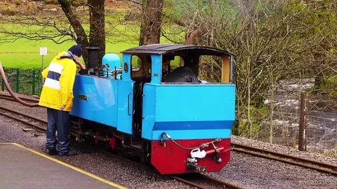 Narrow gauge railway Stock Footage 74446272