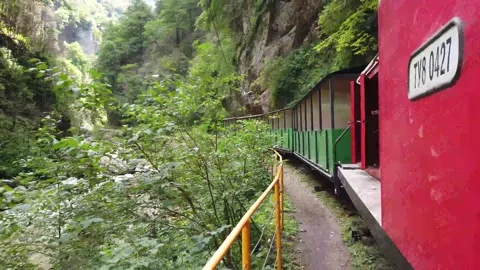 Narrow gauge railway Stock Footage 149980658