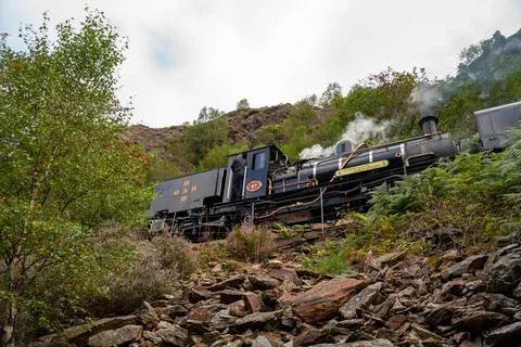 Narrow Gauge Train Stock Photos