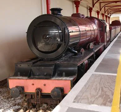 Narrow Gauge Train. Foto stock